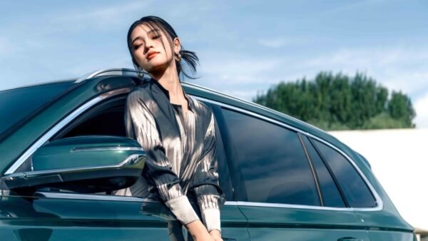 Geely Xingyue L - Image 7